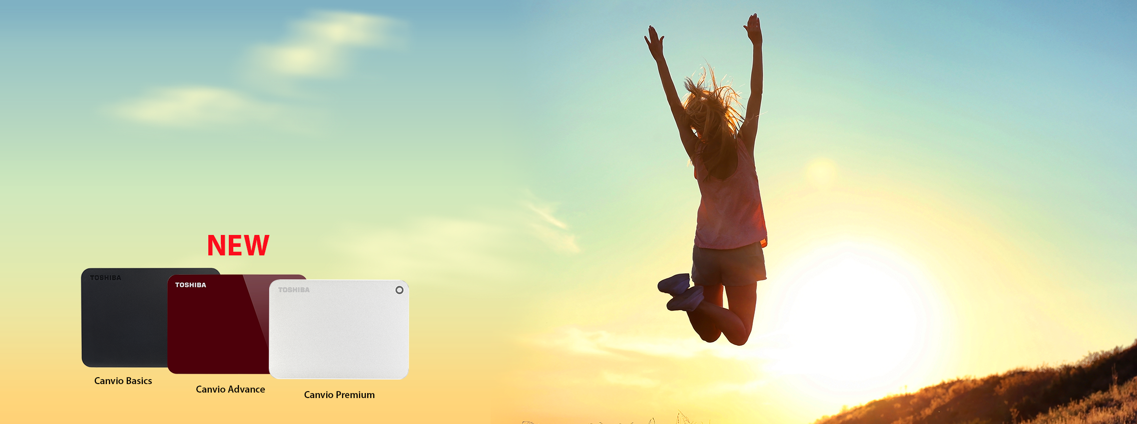 Toshiba L200 1TB Laptop Hard Drive — from Rs. 17,000