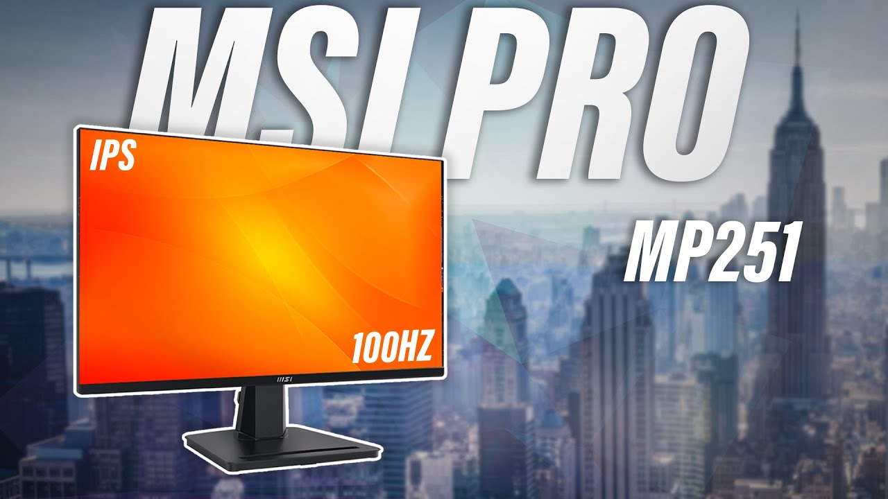 MSI PRO MP251 25" 1080P IPS 100Hz Monitor