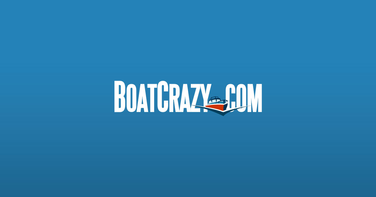 boAt Nirvana Ion ANC Pro Wireless Earbuds